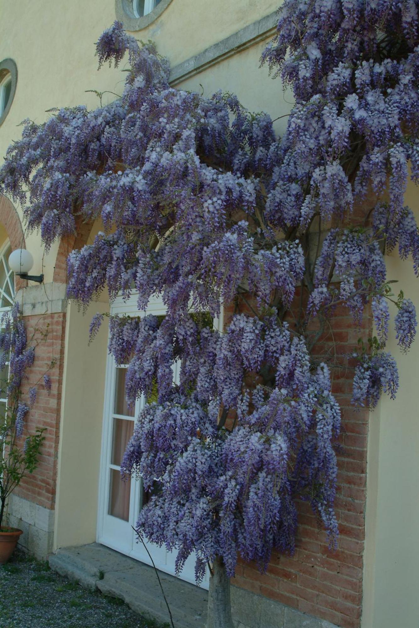 Villa Palagione Centro Interculturale โวลแตร์รา ภายนอก รูปภาพ